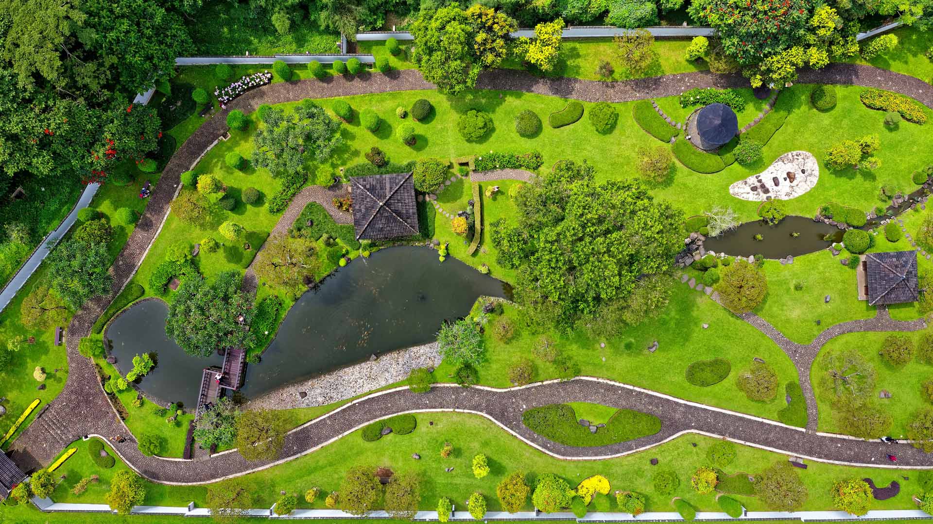 Landscape park pond